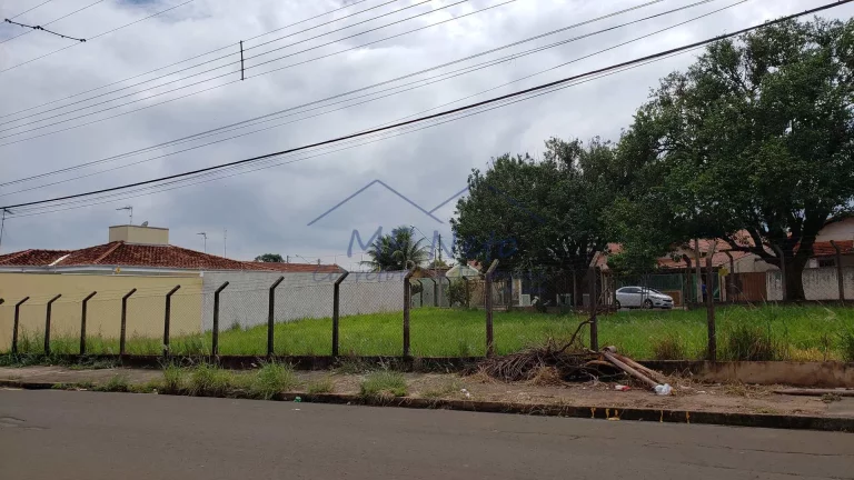 Imagem Terreno Padrão