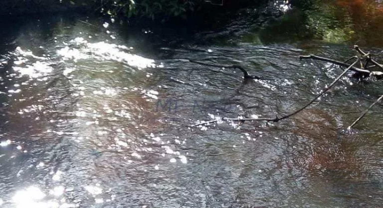 Imagem Terreno Padrão