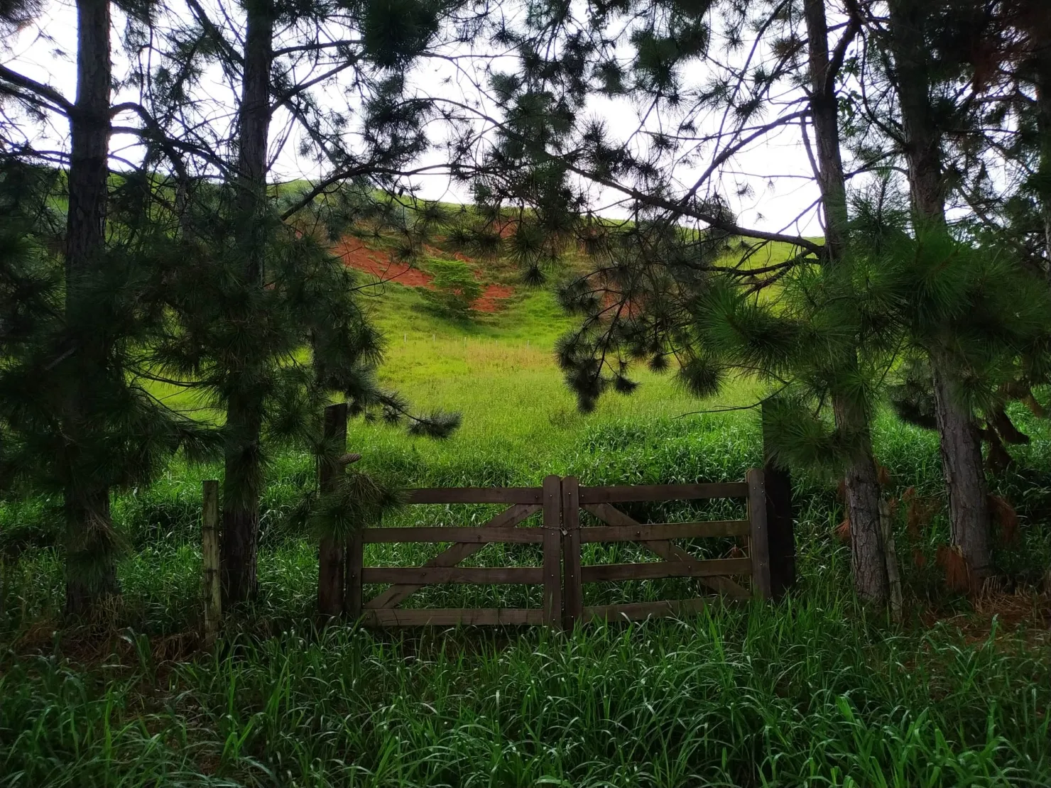 Imagem Chácara à venda 30000M², Zona Rural, Silveiras - SP
