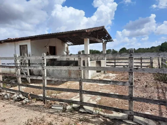 Imagem Granja para Venda em Macaíba, Centro