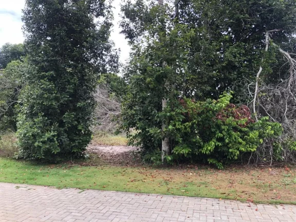 Imagem Terreno a venda
