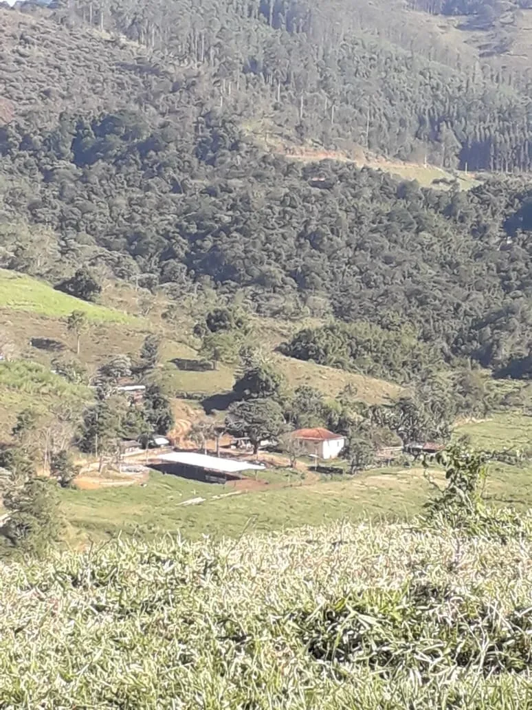 Imagem Chácara para Locação 840000M², Mandú, Pindamonhangaba - SP