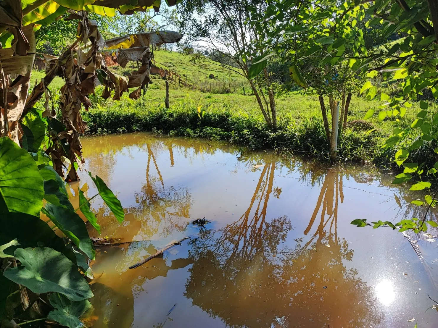 Imagem Chácara à venda 3 Quartos, 1 Suite, 181500M², Centro, Cunha - SP