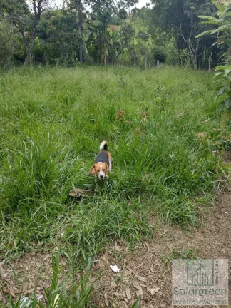 Imagem Lote de 2335,71 m² à Venda no Jardim Estancia Brasil em Atibaia/SP