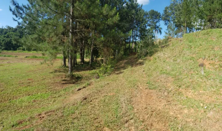 Imagem Terreno à Venda, 1.000 m² em Recanto das Águas - Igaratá