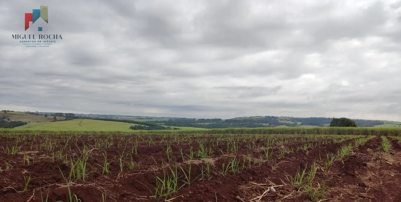 Imagem Fazenda região de Tatuí SP