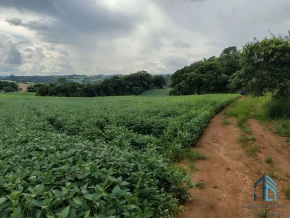 Imagem Terreno com 9,2 Alqueires, área verde ideal para plantio ou construção, em Campo Largo PR