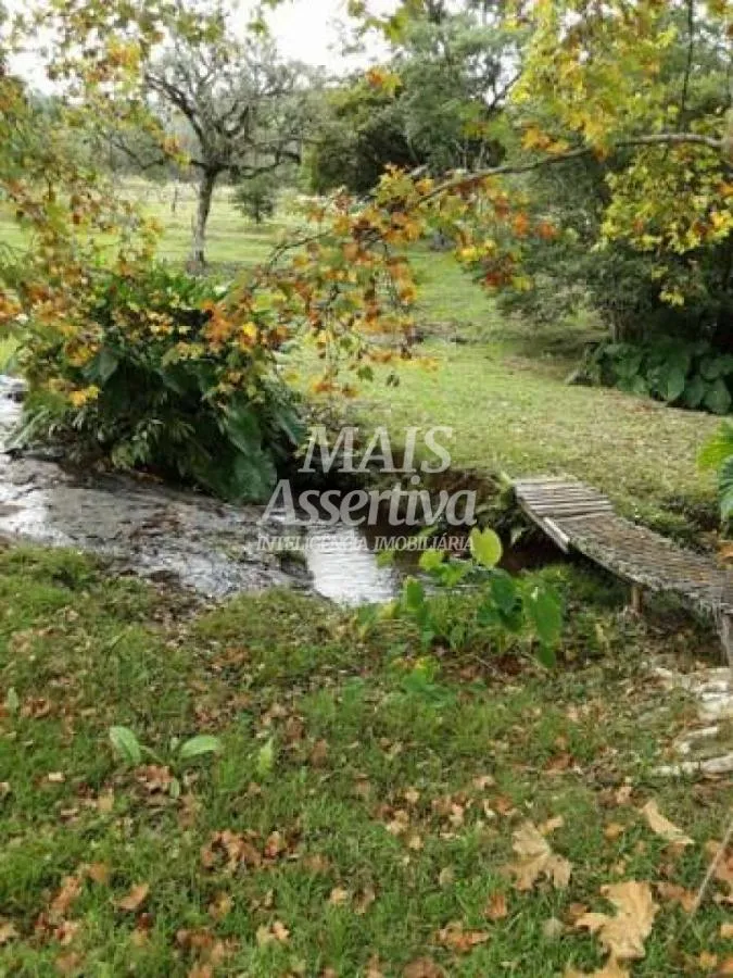 Imagem Sítio para Venda em São Francisco De Paula / RS no bairro Boa Vista
