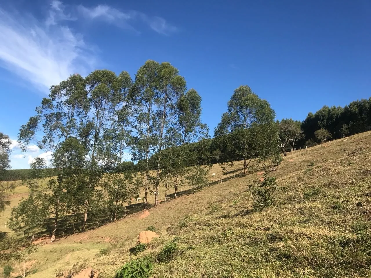 Imagem Chácara à venda 3 Quartos, 157000M², Bailaiero, Cunha - SP