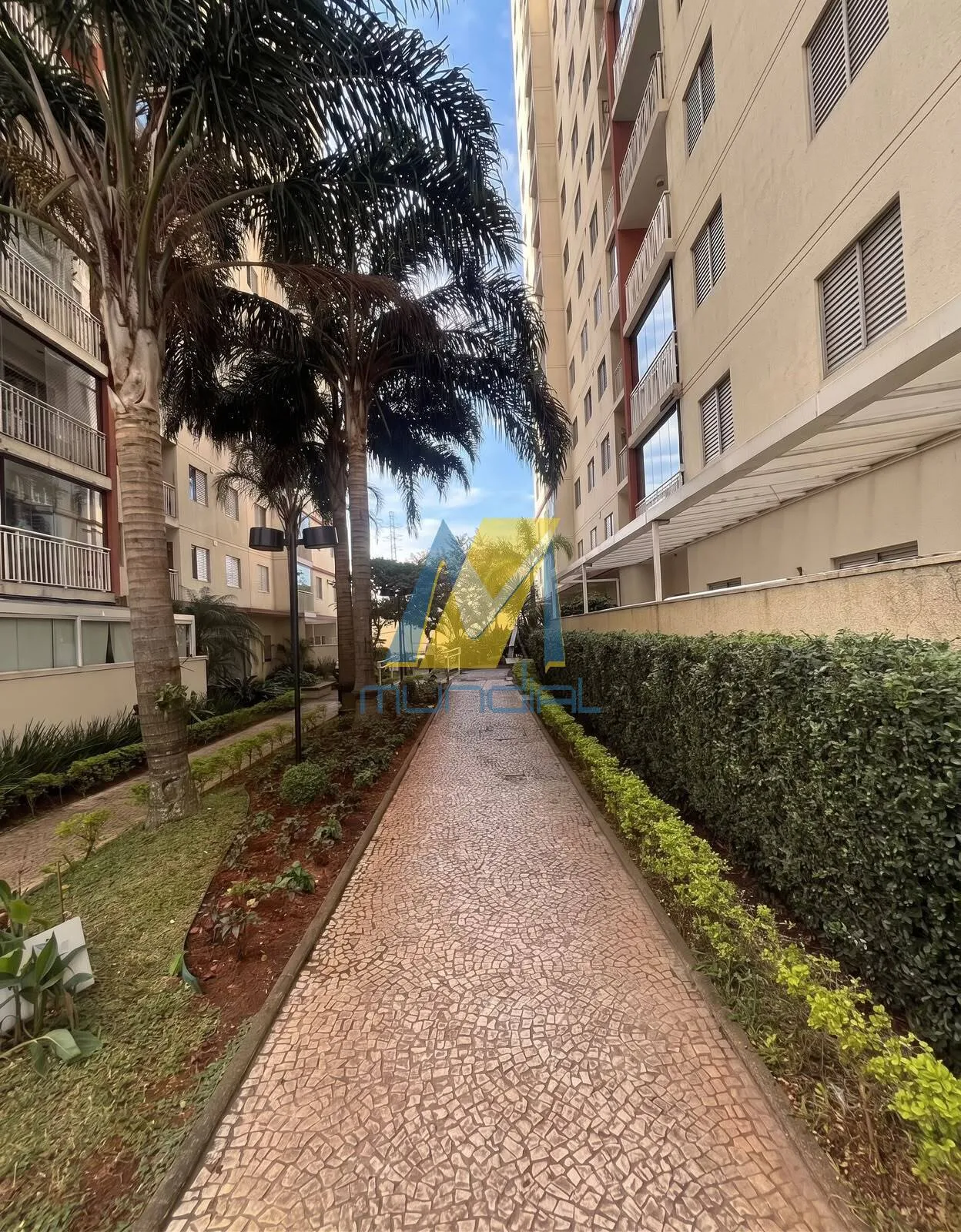 Imagem Apartamento à venda com 3 dormitórios na Vila Homero Thon