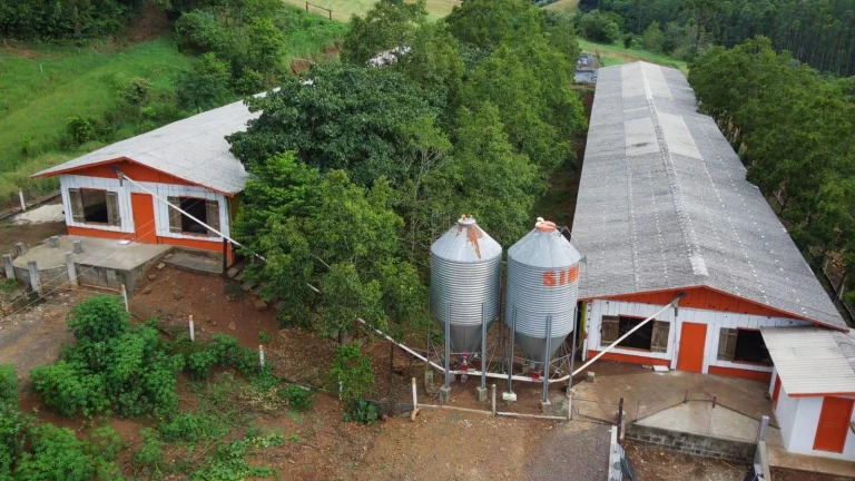 Imagem Área Agrícola para Venda em Três Arroios, Rural