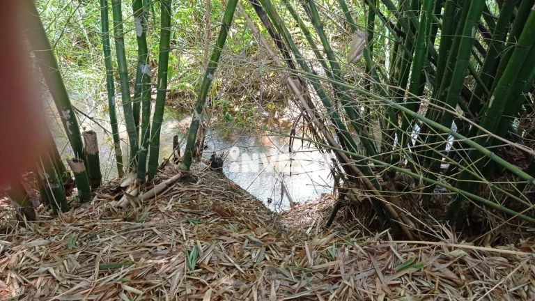 Imagem Chácara à venda no Centro - Hidrolândia/GO