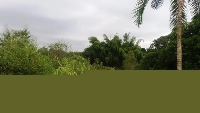 Foto do imóvel Chácara à venda 5200M², Cidade Nova, Pindamonhangaba - SP