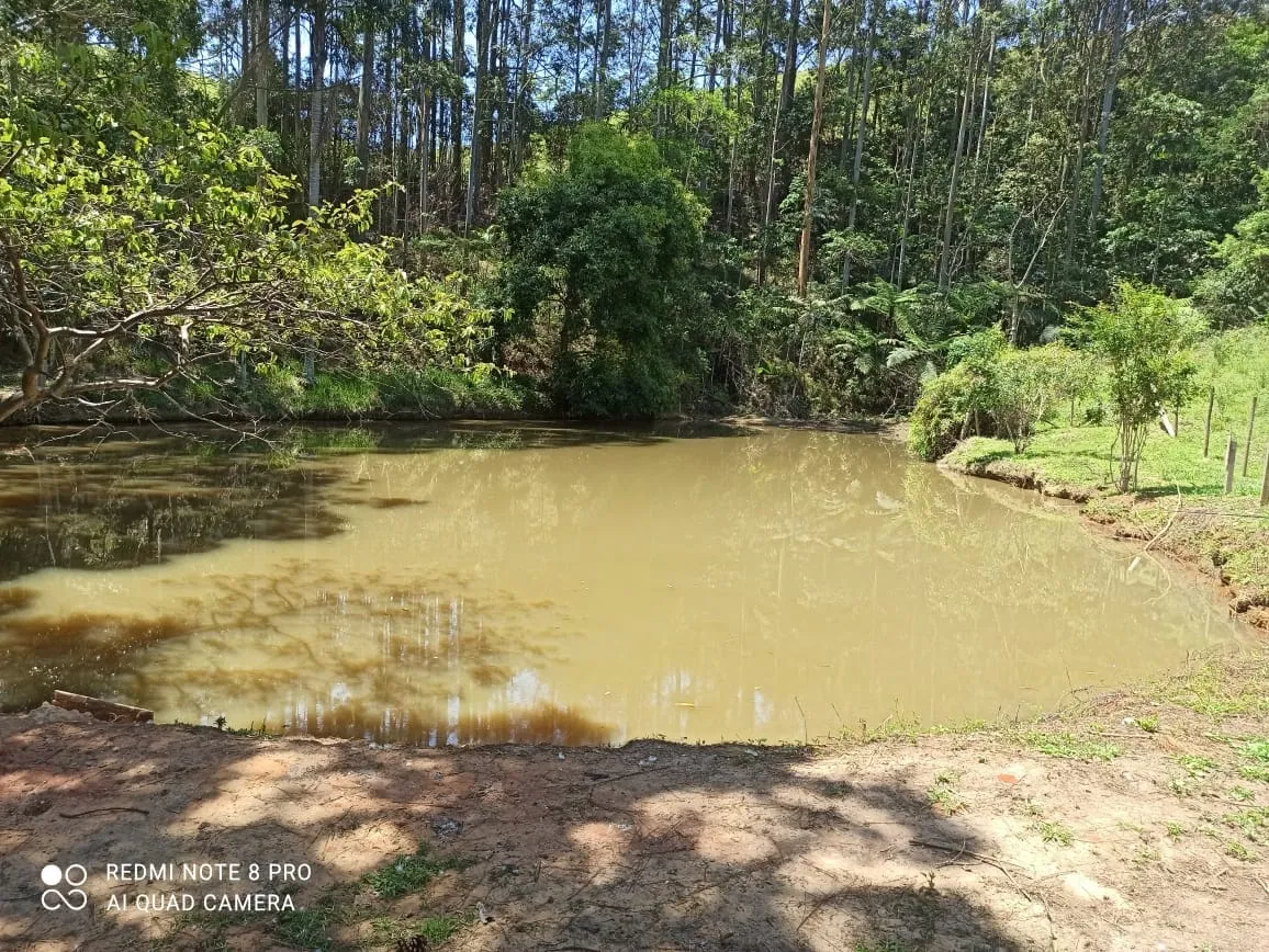 Imagem Chácara à venda 2 Quartos, 4 Vagas, 290400M², Pouso Frio, Pindamonhangaba - SP
