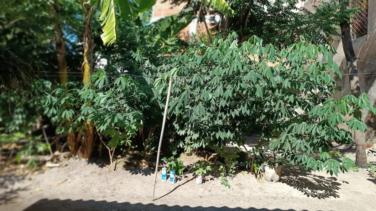 Imagem Casa Duplex com 5 quartos à venda em Vila Velha