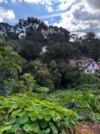 Imagem Terreno à venda, 850 m² por R$ 800.000 - Alto Do Capivari - Campos do Jordão/SP