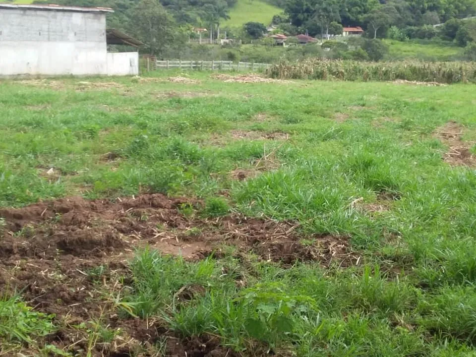 Imagem Terreno Espetacular à Venda em Carmópolis de Minas /MG 42 hectares de terra