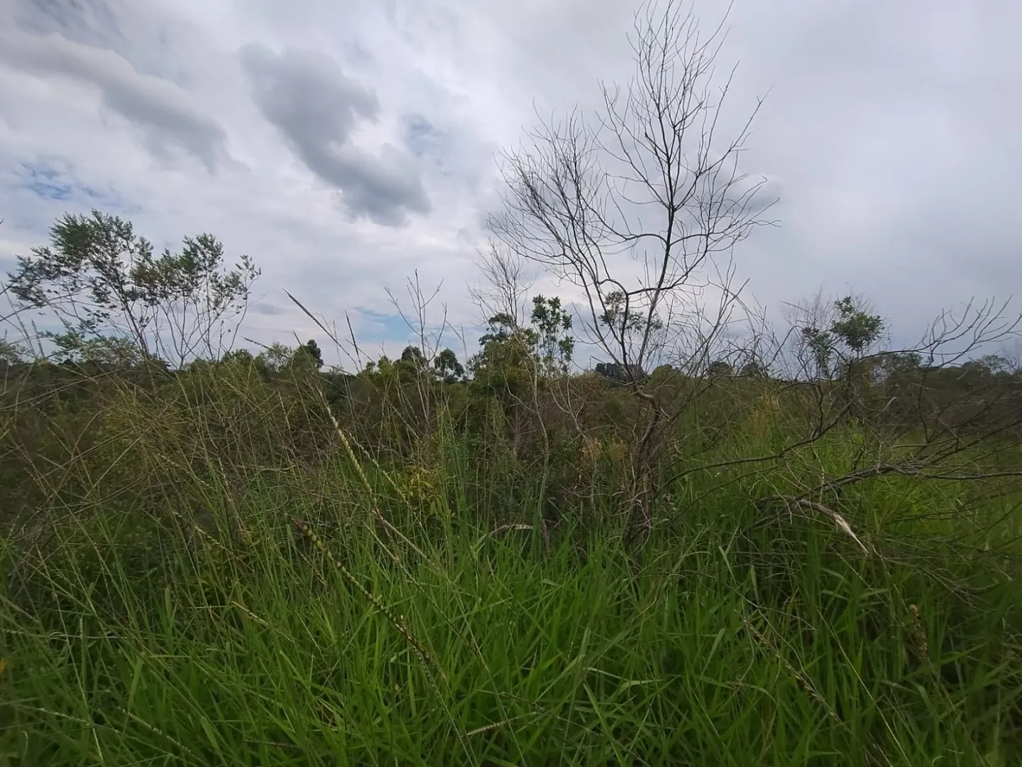 Imagem Oportunidade: Terreno em Viamão, JARDIM VIAMAR - Venda 363m²