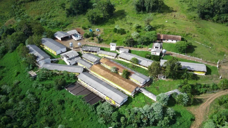 Imagem Granja para Venda em Irani, Rural