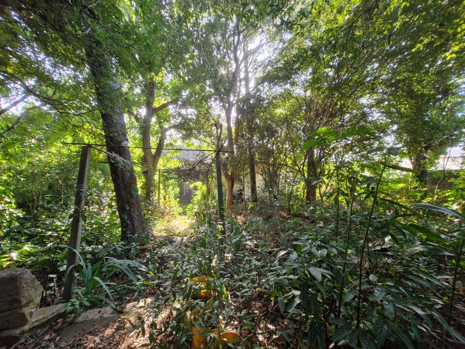 Imagem Terreno em Teresópolis