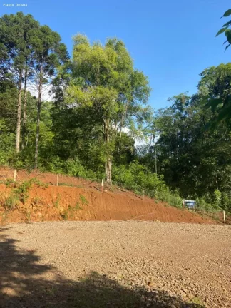 Imagem Área para Venda em Cordilheira Alta, Interior, 3 dormitórios, 1 banheiro, 2 vagas