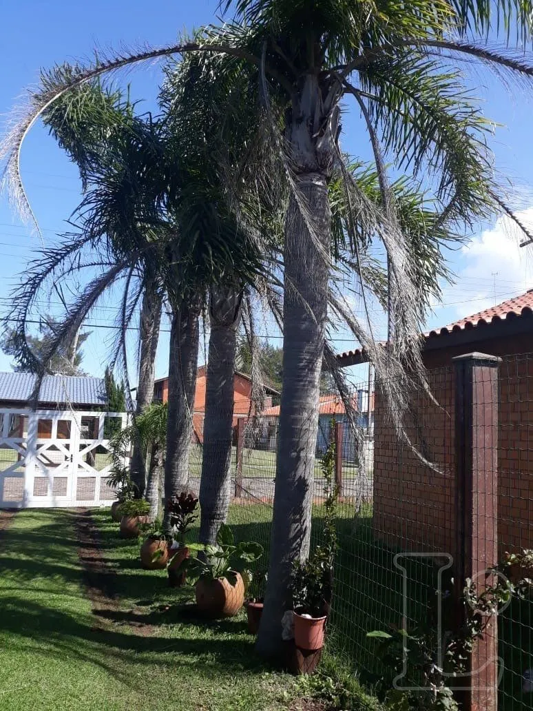 Imagem Casa para Venda - 114m², 2 dormitórios, sendo 1 suites, 2 vagas - Zona Nova