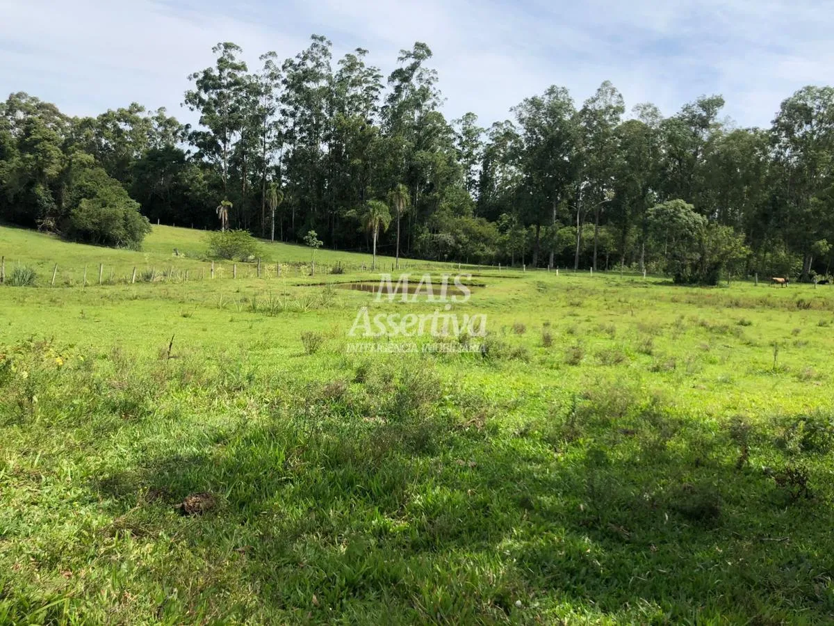 Imagem Terreno para Venda em Lomba Grande, Novo Hamburgo