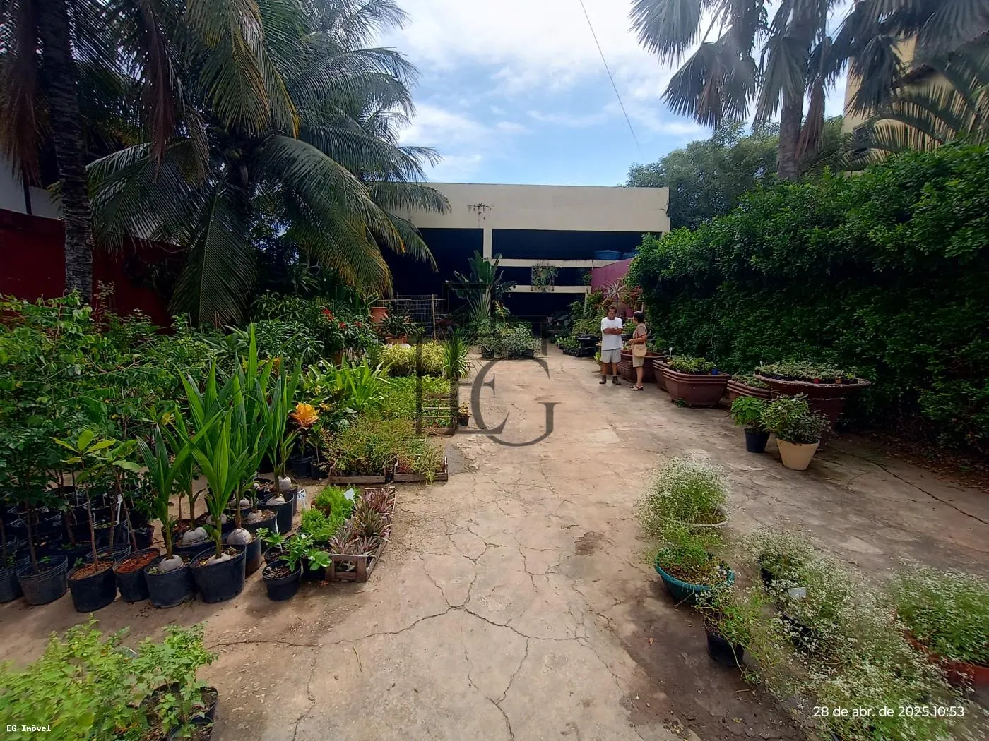 Imagem Comercial para Venda em Araruama, Coqueiral