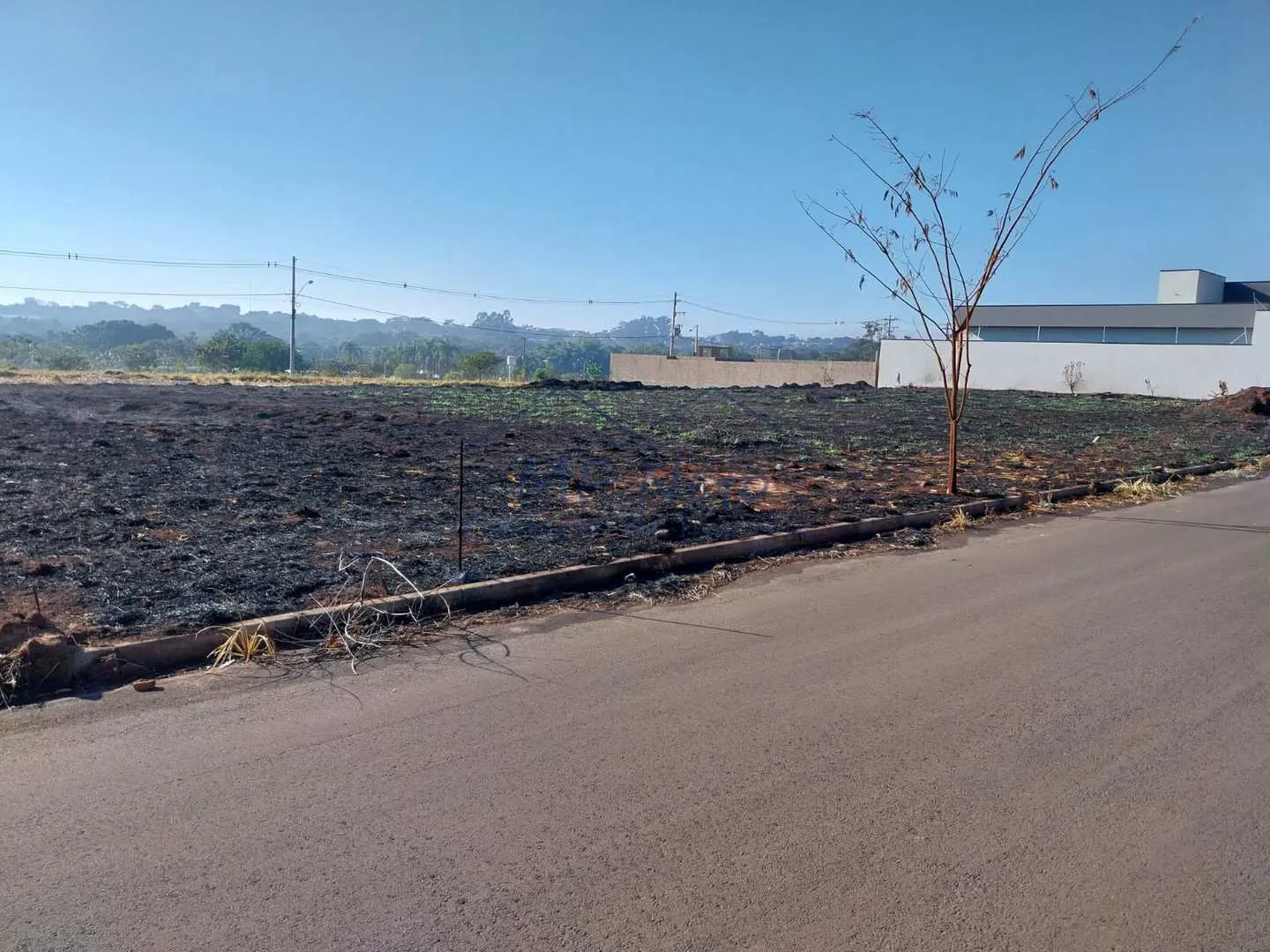 Foto do imóvel: Terreno Padrão