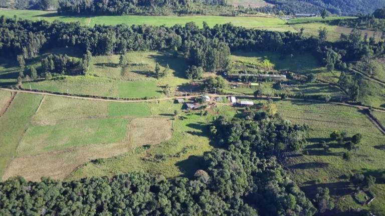 Imagem Área Agrícola para Venda em Concórdia, Interior