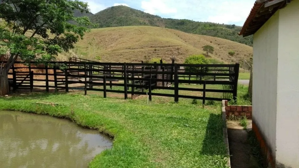 Imagem Grande Oportunidade Rural: 89 Alqueires com Expansão para 100.