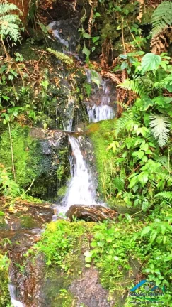 Imagem Refúgio na Serra da Mantiqueira com vistas panorâmicas.