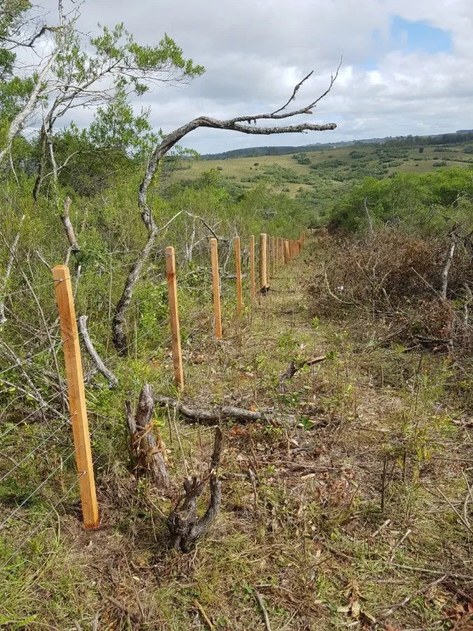 Imagem Sítio para Venda em Pedro Osório, Brasileiras
