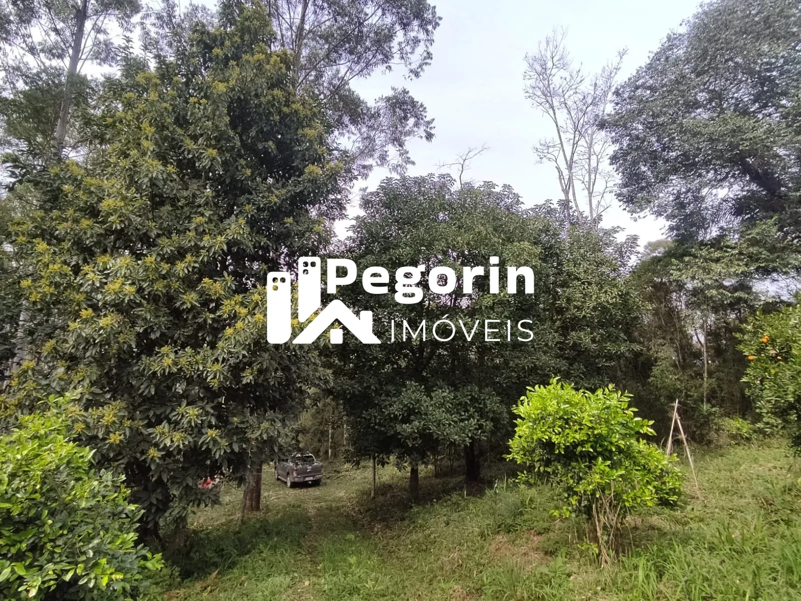 Imagem CHÁCARA EM CAMPO MAGRO 51.000M²