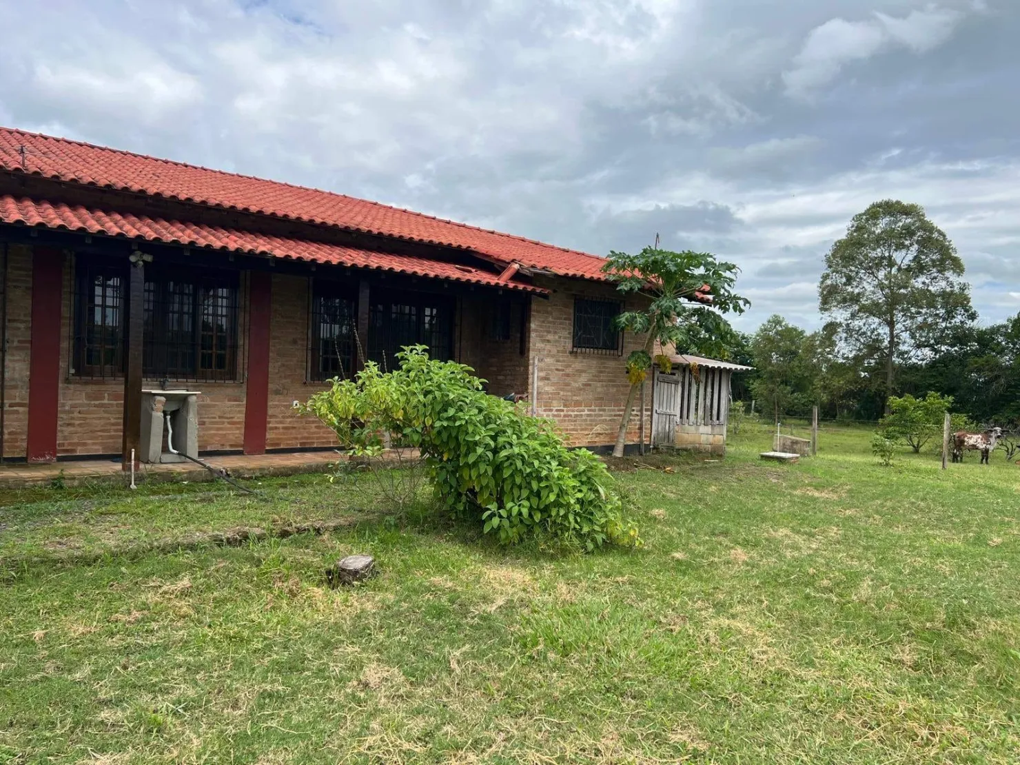 Imagem Sítio à venda, Pindamonhangaba, SP