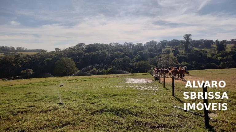 Imagem Vende - Lindo Haras - 5,5 Alqueires –Estrutura Completa– Itu/SP