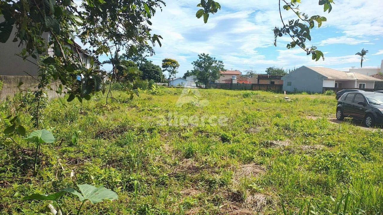 Imagem OPORTUNIDADE PARA INVESTIDORES - Terreno à venda com 3.100m² I Plano I Próximo a BR-101 em Aririú da Formiga Palhoça