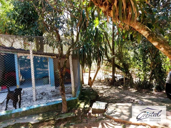 Imagem Chácara com 2 dormitórios à venda, 5500 m² - Serra da Cantareira - Mairiporã/SP