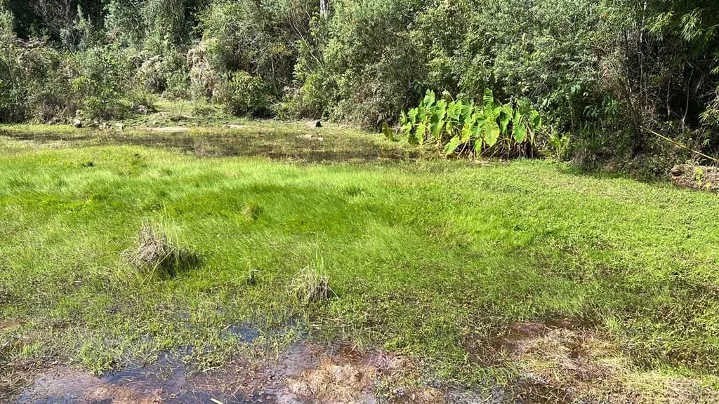 Imagem Terreno à venda em Gramado, Carazal, 20000m2