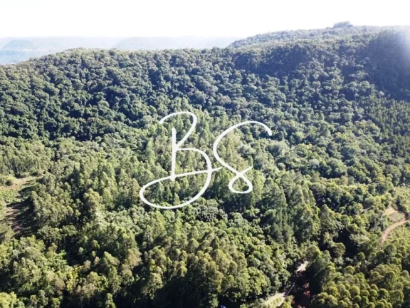 Imagem SITIO RURAL em NOVA PETRÓPOLIS - RS, Linha Brasil