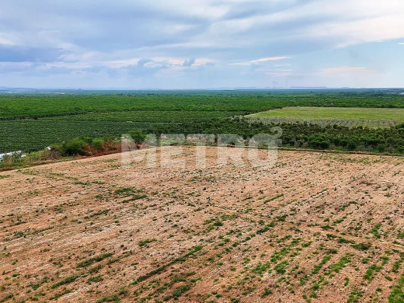 Imagem Fazenda com 116ha, Casa, Galpão, 25ha plantados e mais 32 prontos para plantar