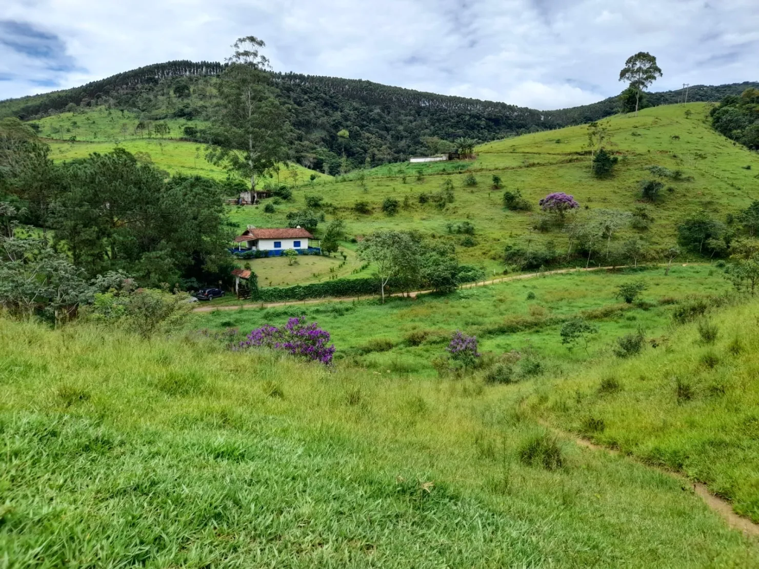 Imagem Terreno à venda 10000M², Mandú, Pindamonhangaba - SP