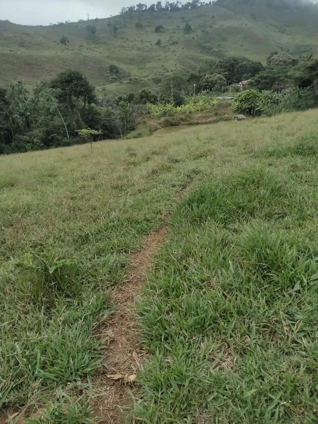 Imagem Terreno à Venda em São Domingos do Prata/MG com 25,5 hectares de terra