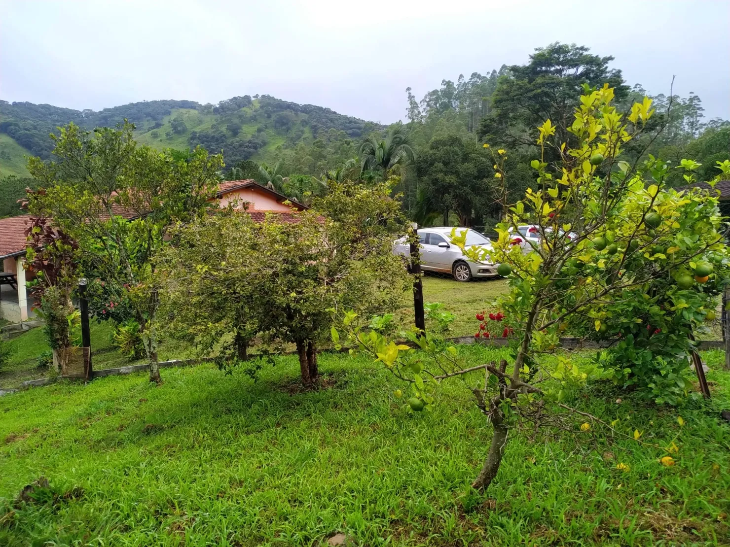 Imagem Chácara à venda 3 Quartos, 31573.76M², Centro, Monteiro Lobato - SP