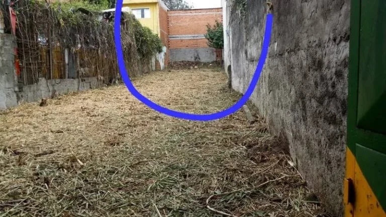 Imagem Terreno - São Paulo - SP - Vila Talarico