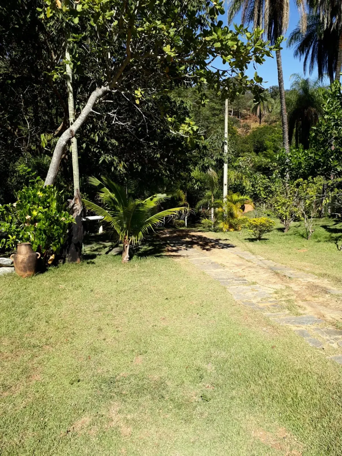 Imagem Sítio à Venda, 50.000 m² em Centro - Jaboticatubas