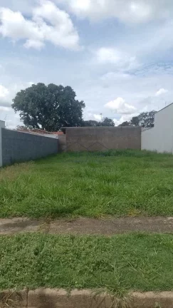 Imagem Terreno Padrão