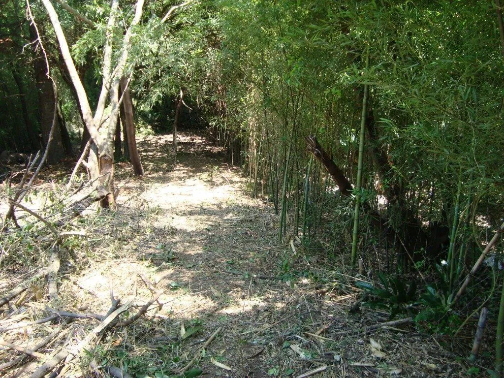 Imagem Casa em Teresópolis