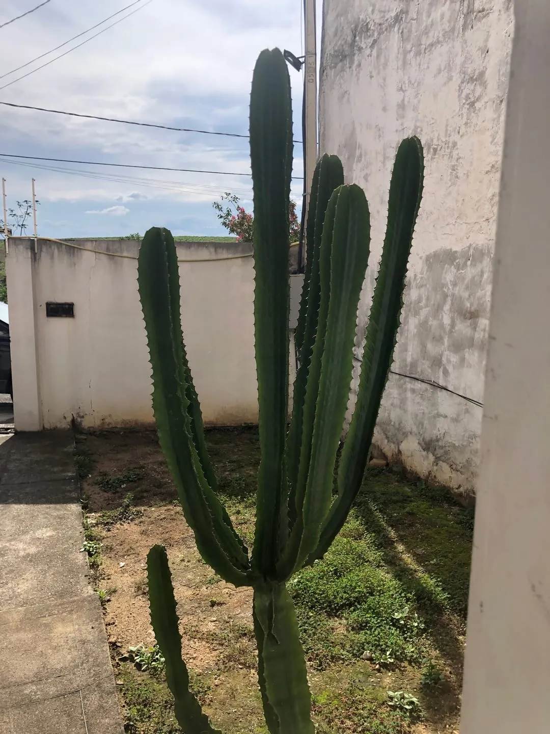 Imagem Casa à venda 3 Quartos, 1 Suite, 2 Vagas, 133.33M², Residencial Mombaça, Pindamonhangaba - SP