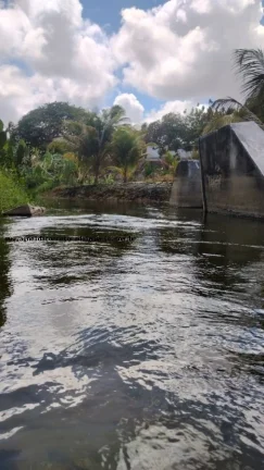 Imagem Granja para Venda em Rio do Fogo, Água Verde